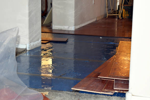Professional Burst Pipe Cleanup technician working in Cleveland, MS